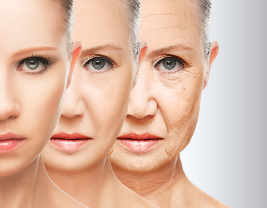 a woman faces in different aging stages